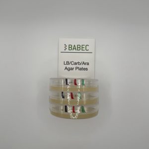 LB Agar Plates for Protein Purification with Gene Regulation