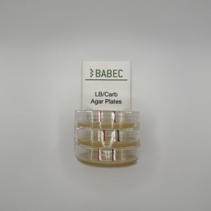 LB Agar plates for Protein Purification