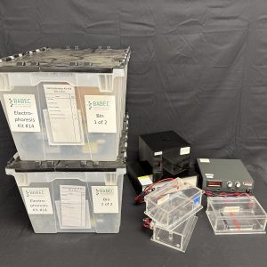 Electrophoresis