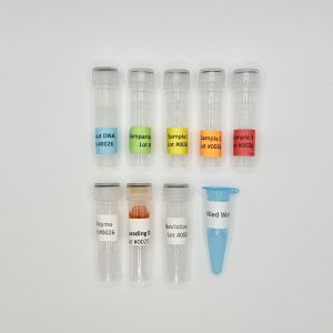 DNA Forensics