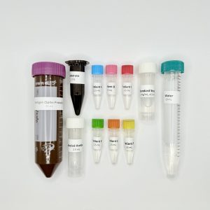 Exploring Vaccines with ELISA