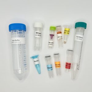 Wolbachia PCR