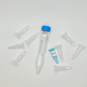 mtDNA PCR