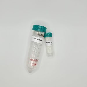 0.8% Agarose Kit